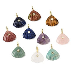 Смешанные камни Резные подвески из натурального смешанного камня, Подвески в форме ракушки с латунными микрофибровыми вставками., золотые, стойки покрытие, смешанные окрашенные и неокрашенные, 28~29x22.5x7.5~8 мм, отверстие : 3.5 мм