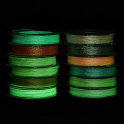 Gemischte Farbe 12 rollt leuchtendes Nähgarn aus Polyester, leuchtet im Dunkeln, 3-lagige Polyesterschnur zur Schmuckherstellung, Gemischte Farbe, 0.2 mm, ca. 24.06 Yards (22 m)/Rolle