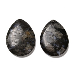Glaucophane Подвески из натурального глаукофана, слезинки, 40~41x30~31x7~8 мм, отверстие : 1.5 мм
