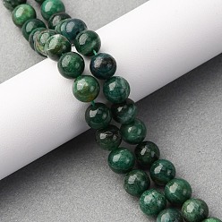 Fuchsite Бусины из натурального фуксита, круглые, 8 мм, отверстие : 0.6 мм, около 49 шт / нитка, 15.59'' (39.6 см)