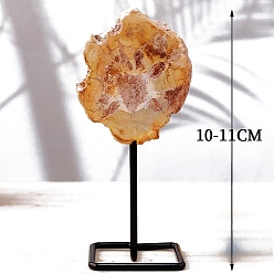 Деревянное Окаменение Декоративное украшение из натурального окаменелого дерева, с железной подставкой для демонстрации, украшение для рабочего стола по фэн-шуй для домашнего офиса, самородки, 100~110 мм