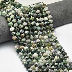 Древесный агат Натурального дерева агат бисер нитей, граненые, рондель, с бисером, 8.5~10x5.5~6.5 мм, отверстие : 1 мм, около 43~45 шт / нитка, 15.35'' (39 см)