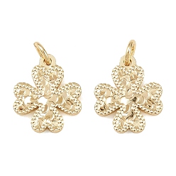 Клевер Латунь прелести, стойки покрытие, долговечный, без кадмия и без свинца, реальный 18 k позолоченный, с целью перехода в кольце, клевер, 12x10x1.5 мм, отверстие : 2 мм