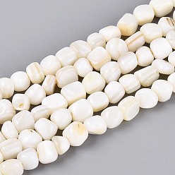 Морская Ракушка Естественных пресноводных оболочки бисер нитей, квадратный, цвет морской раковины, 2~7x4~7x3~6 мм, отверстие : 0.5~0.7 мм, около 68~71 шт / нитка, 15.16~15.55 дюйм (38.5~39.5 см)