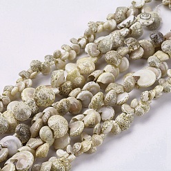 Yellow Green Natural Sea Shell Beads Strands, Shell, Yellow Green, 4~11x5~12x3~7mm, Hole: 1~2mm, 36.2 inch~37 inch