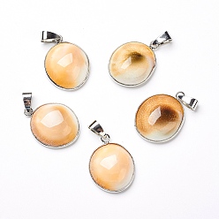 Shell Shell Pendants, with Platinum Tone Brass Findings, Oval, 24~26x18~20x9mm, Hole: 4x6mm