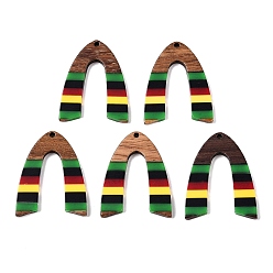 Arch Подвески из ямайской цветной эпоксидной смолы и орехового дерева, геометрические прелести, арка, 37x29x3.5 мм, отверстие : 2 мм