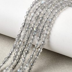 Лабрадорита Природные лабрадорита бисер нитей, граненые, круглые, 3 мм, отверстие : 0.7 мм, около 70 шт / нитка, 7.87'' (20 см)