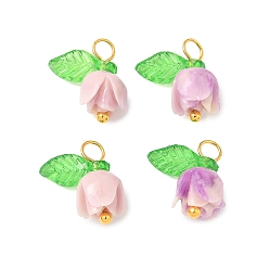 лаванда Подвески из синтетических ракушек в форме цветка, с латунными булавками с шарообразными головками и прозрачными акриловыми подвесками, лаванда, 13x11x6.5 мм, отверстие : 3 мм