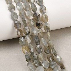 Лабрадорита Природные лабрадорита бисер нитей, граненые, Плоско-овальные, 8x6x3 мм, отверстие : 0.7~0.8 мм, около 46~47 шт / нитка, 14.96~15.16'' (38~38.5 см)