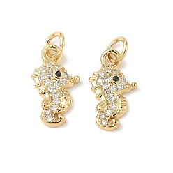 Настоящее золото 18K Латунные микро проложить кубического циркония подвески, морской конек, стойки покрытие, долговечный, без кадмия и без свинца, с целью перехода в кольце, реальный 18 k позолоченный, 15.5x8.5x2.5 мм, отверстие : 3.5 мм