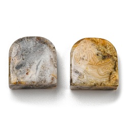 Crazy Agate Natural Crazy Agate Pendants, Square Charms, 24~24.5x22~22.5x8~9mm, Hole: 1.5mm