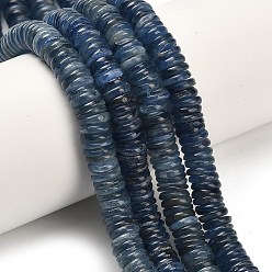 Кианит Натуральный кианитовые бисер пряди, рондель, 8x2~2.5 мм, отверстие : 0.7 мм, около 200~201 шт / нитка, 15.75~15.94 дюйм (40~40.5 см)