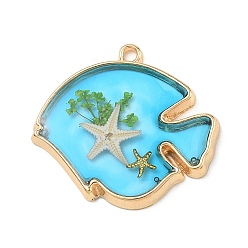 Fish Подвески из сплава, эпоксидной смолы и сушеных цветов на тему морской жизни., золотые, глубокое синее небо, очарование рыбы, 28x29x3 мм, отверстие : 1.9 мм