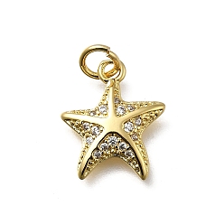 Настоящее золото 18K Латунные микро проложить кубического циркония прелести, морская звезда, без кадмия и без свинца, стойки покрытие, долговечный, с целью перехода в кольце, реальный 18 k позолоченный, 14.5x12x2 мм, отверстие : 3.2 мм