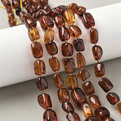 Янтарный Янтарные шарики нити, самородки, с бисером, 6~13.5x6~10x4.5~8 мм, отверстие : 0.7 мм, около 33~37 шт / нитка, 15.16~15.55 дюйм (38.5~39.5 см)