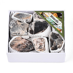 Grey Moonstone Украшения из натурального серого лунного камня, товары для украшения дома, самородки, с бумажной коробкой, 22~43x14~37x9~27 мм