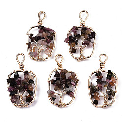 Tourmaline Natural Tourmaline Pendants, Light Gold Tone Brass Wire Wrapped, Tree, Bottle, 41x21~22x4mm, Hole: 4mm