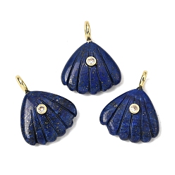 Ляпис-Лазурь Резные подвески из окрашенного натурального лазурита, Подвески в форме ракушки с латунными микрофибровыми вставками., золотые, стойки покрытие, 28~29x22.5x7.5~8 мм, отверстие : 3.5 мм