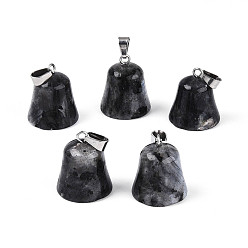 Лабрадорита Природные подвески лабрадорита, колокол прелести, с защелкой из нержавеющей стали на поручнях, цвет нержавеющей стали, 17~18.5x15.5~16 мм, отверстие : 5.5x3 мм