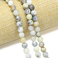Белый Опал Натуральный белый опал африканские бусы пряди, граненый (128 граней), круглые, 6~6.5 мм, отверстие : 0.8~1 мм, около 59~64 шт / нитка, 14.25~15.55'' (36.2~39.5 см)