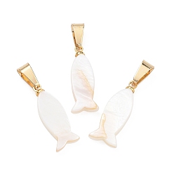 Золотой Подвески натурального морских раковин, Подвески в виде рыбок с защелкивающимися креплениями из нержавеющей стали., цвет морской раковины, золотые, 21x8x3 мм, отверстие : 7x3.5 мм