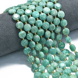 Амазонит Природных амазонит бисер нитей, граненый шестиугольный разрез, плоско-круглые, с бисером, 10~10.5x6 мм, отверстие : 1 мм, около 31~32 шт / нитка, 15.35''~15.55'' (39~39.5 см)