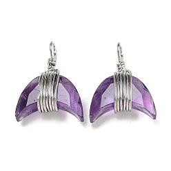 Аметист Подвески из медной проволоки с натуральным аметистом, подвески из граненого рога, платина, 23x17.5x8 мм, отверстие : 3x5 мм