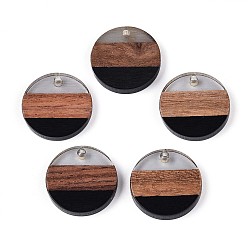 Черный Подвески из смолы и ореха, плоско-круглые, чёрные, 18.5x3.5 мм, отверстие : 2 мм