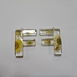 Letter F Подвески из прозрачной эпоксидной смолы, подвески-буквы с петлями, Буква F, 41.5x31.5x8 мм, отверстие : 2 мм