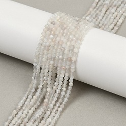 White Moonstone Натуральный белый лунный камень бисер пряди, граненые круглые, 2.5~3 мм, отверстие : 0.5 мм, около 147 шт / нитка, 14.96~15.35'' (38~39 см)
