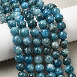 Апатит Природного апатита нитей бисера, круглые, 8 мм, отверстие : 0.8 мм, около 48 шт / нитка, 15.35 дюйм (39 см)