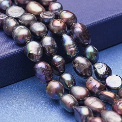 Темно-серый Гальванические пряди из натурального культивированного пресноводного жемчуга, окрашенные, двух сторон полированной, темно-серый, 9~15x8~9 мм, отверстие : 0.5 мм, около 33~35 шт / нитка, 14.17~14.56 дюйм (36~37 см)