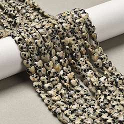 Далматинских Джаспер Природные яшмы далматин бисер нитей, сердце, 5.5x6~6.5x2.5~3 мм, отверстие : 0.7 мм, около 69~72 шт / нитка, 14.88~15.2 (37.8~38.6 см)