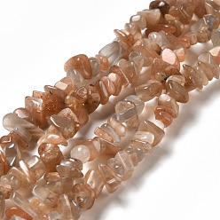 Sunstone Natural Sunstone Chip Beads Strands, 7~12x5.5~7mm, Hole: 0.7mm, 31.10 inch(79cm)
