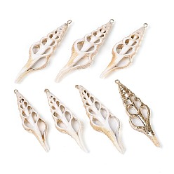 Папайя Оранжевый Гальванические большие подвески из натуральной ракушки, Подвески в виде кусочков ракушки с петлями из железа золотистого цвета., papayawhip, 51.5~63x14.5~19.5x4~7 мм, отверстие : 1.3~1.8 мм