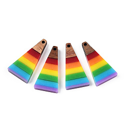 Треугольник Подвески из непрозрачной смолы и ореха, подвески цвета радуги, красочный, треугольные, 28.5x14x3.5 мм, отверстие : 1.6 мм