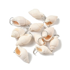 Бежевый Естественно спиральные подвески оболочки, подвески в форме ракушки с железными соединительными кольцами платинового оттенка, бежевые, 27~27.5x17.5~19.5x14.5~16.5 мм, отверстие : 14.5 мм