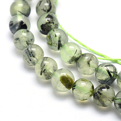 Prehnite Natural Prehnite Beads Strands, Round, 6mm, Hole: 1mm, about 66pcs/strand, 15.5 inch(39.5cm)
