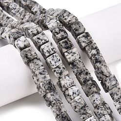 Светло-серый Натуральный кунжут яшма / киви нитки бусины яшмы, кубические, светло-серый, 8~8.5x8~8.5x8~8.5 мм, отверстие : 1.2 мм, около 47~49 шт / нитка, 15.35~15.79'' (39~40.1 см)