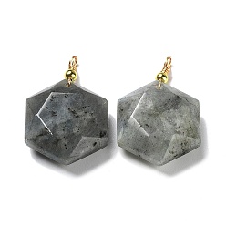 Labradorite Natural Labradorite Pendants, with Rack Plating Golden Tone Brass Loops, Faceted Star, 39~40x25x8.5~10mm, Hole: 3mm