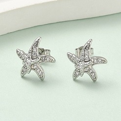 Морская звезда Серьги-гвоздики из латунного микро-паве, стойки покрытие, долговечный, без кадмия и без свинца, платина, морская звезда, 13.5x12.5 мм