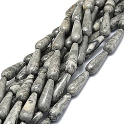 Джаспер Зебра Природные зебры яшмы бисер нитей, капля воды, 30x10 мм, отверстие : 1.4 мм, около 13 шт / нитка, 15.75'' (40 см)