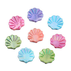 (52) Непрозрачная лаванда Естественных пресноводных стеклянные бусы, окрашенные, AB цвет, формы раковины, разноцветные, 14x15x2.5~3 мм, отверстие : 0.9 мм