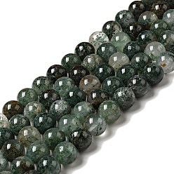 Fuchsite Бусины из натурального фуксита, круглые, 10 мм, отверстие : 0.7 мм, около 38 шт / нитка, 14.96 дюйм (38 см)