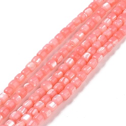 Лосось Натуральные бусины из ракушек трохуса, окрашенные, колонка, salmon, 3.5x3.5 мм, отверстие : 0.8 мм, около 113 шт / нитка, 15.59'' (39.6 см)