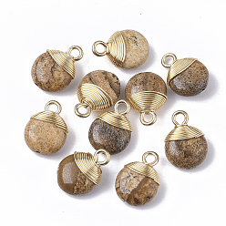 Пейзажный Джаспер Естественного изображения яшмы подвески, с золотыми тонами латунной проволоки и железными петлями, половине просверлил, плоско-круглые, 14~15x10~11x5~6 мм, отверстие : 1.5~2 мм