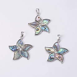 Раковина Кулон с панцирем, с латунной заготовкой из платины, цветок, 41~41.5x38x2~3 мм, отверстие : 5x8 мм