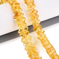 Gold Natural Amber Beads Strands, Rhombus, Gold, 9~13x9~13x2~4.5mm, Hole: 0.7~1mm, about 73~75pcs/strand, 15.55~15.75 inch(39.5~40cm)