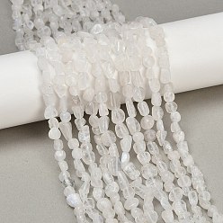 Rainbow Moonstone Бусины из натурального радужного лунного камня, самородки, упавший камень, 6~11x6~8x4~7 мм, отверстие : 1 мм, около 49~51 шт / нитка, 15.35~15.75'' (39~40 см)